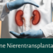 nierentransplantation mit lebendspende